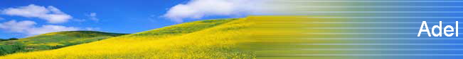 Adel